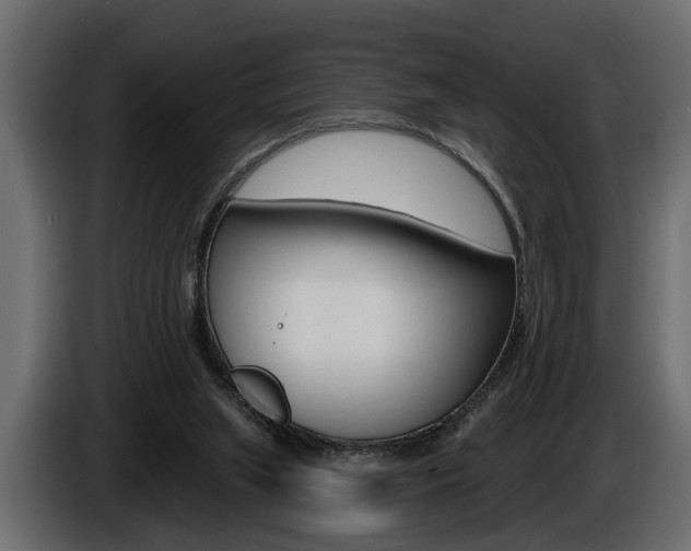 X0000086000063200703230858