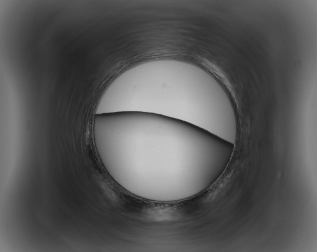 X0000086000065200703230858
