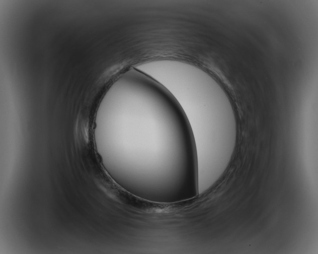 X0000086000068200703230858