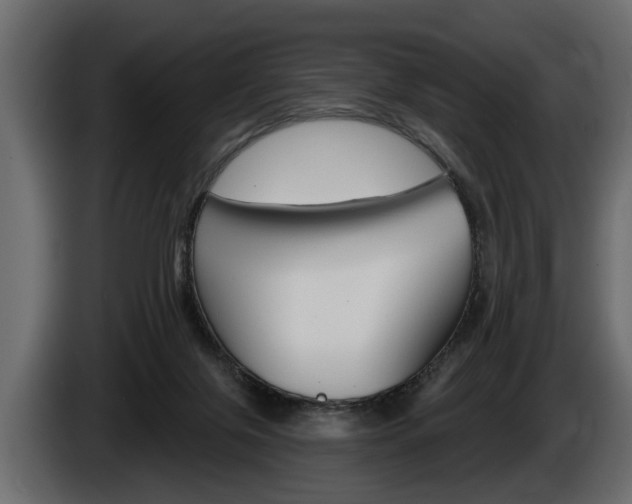 X0000086000071200703230858