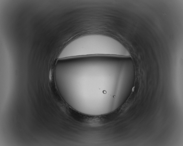 X0000086000075200703230858