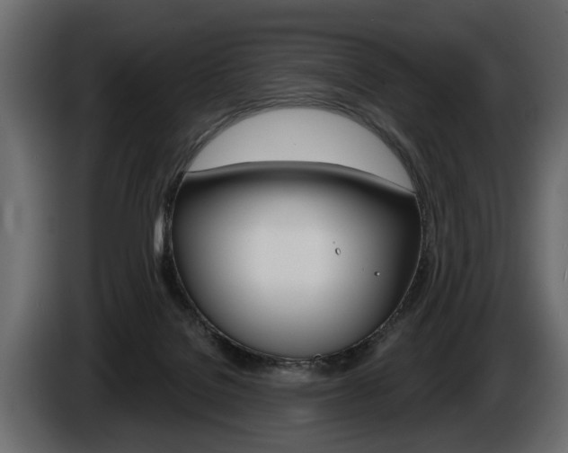 X0000086000076200703230858