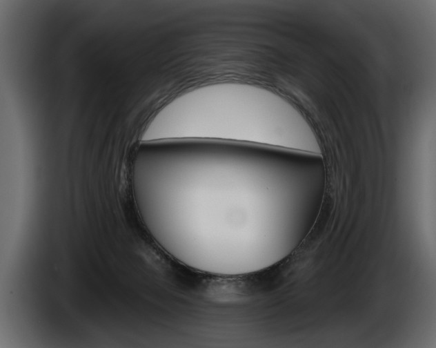 X0000086000077200703230858
