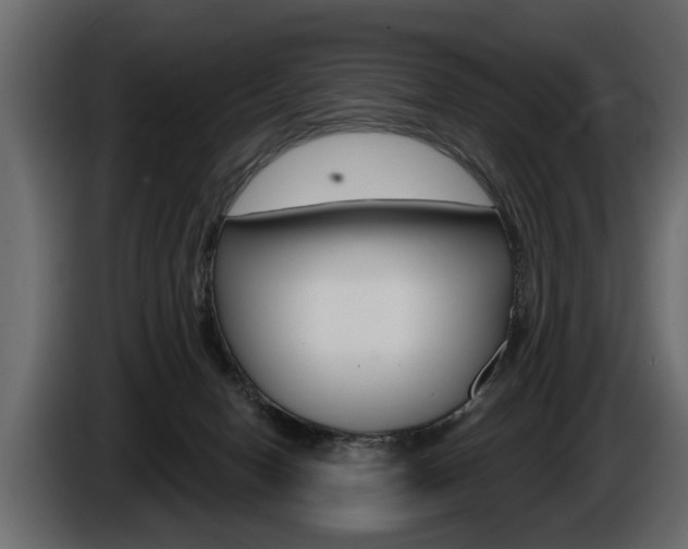 X0000086000078200703230858