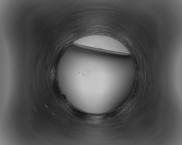 X0000086000081200703230858