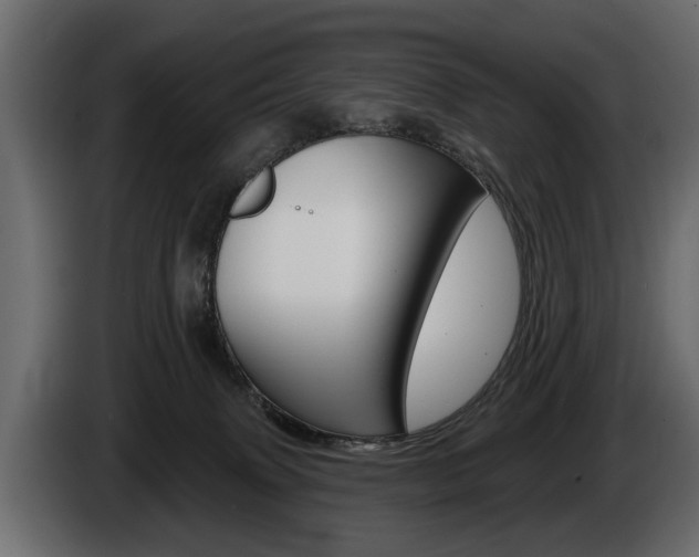 X0000086000083200703230858