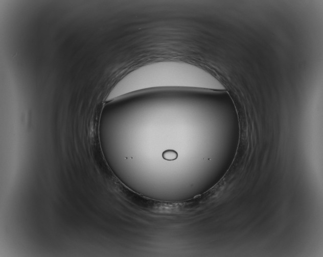 X0000086000084200703230858