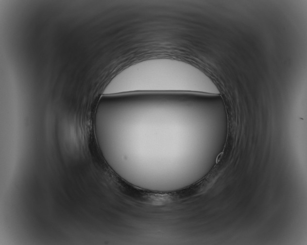 X0000086000085200703230858