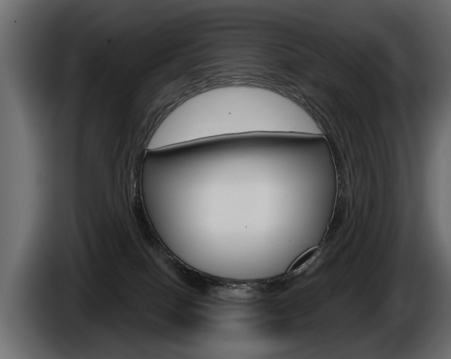 X0000086000086200703230858