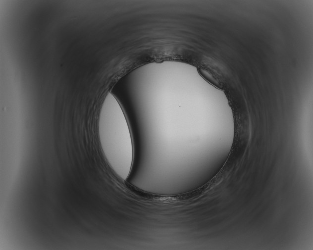 X0000086000087200703230858