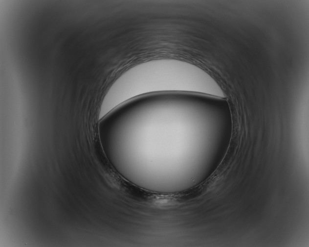 X0000086000088200703230858