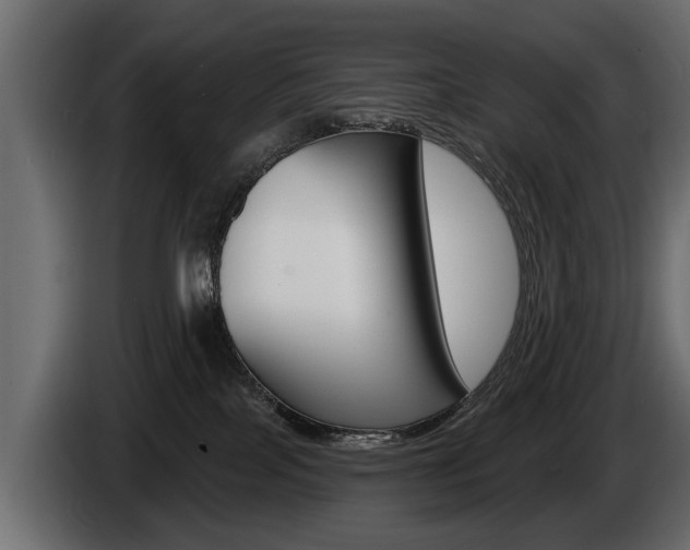 X0000086000089200703230858