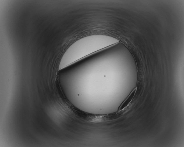 X0000086000090200703230858