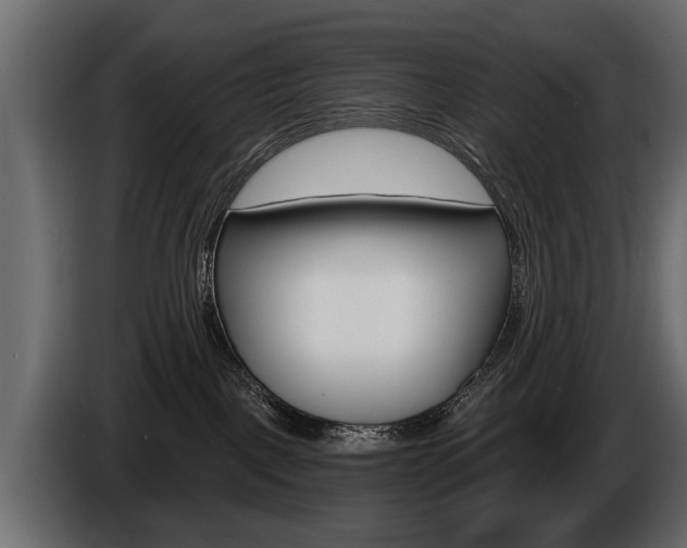 X0000086000093200703230858