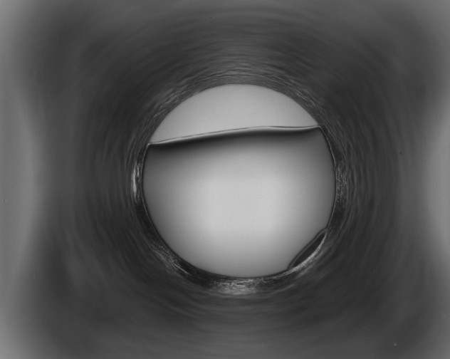 X0000086000094200703230858