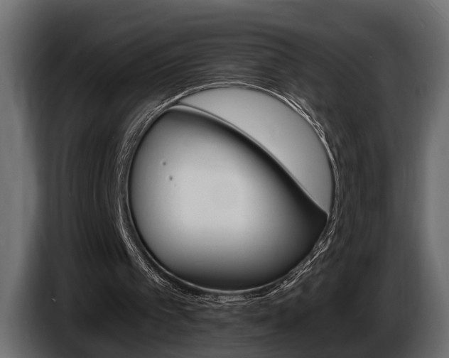 X0000086000097200703230858