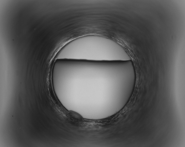 X0000086000098200703230858