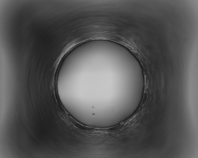 X0000086000099200703230858