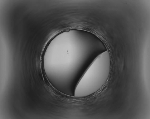 X0000086000100200703230858
