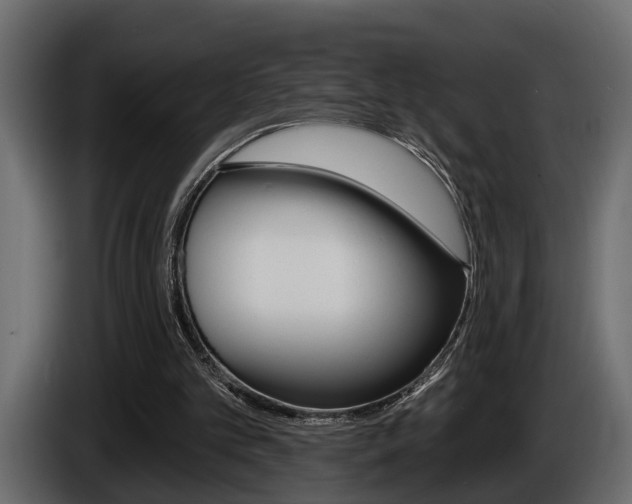 X0000086000101200703230858