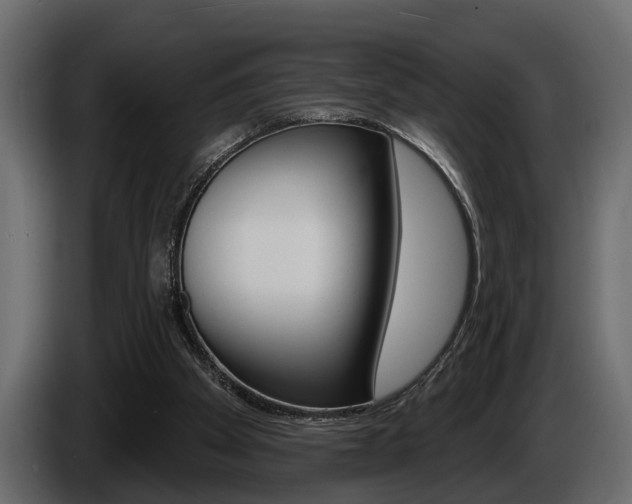 X0000086000105200703230858