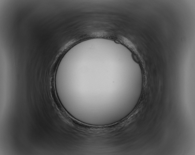 X0000086000106200703230858