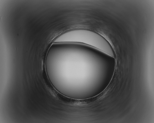 X0000086000109200703230858