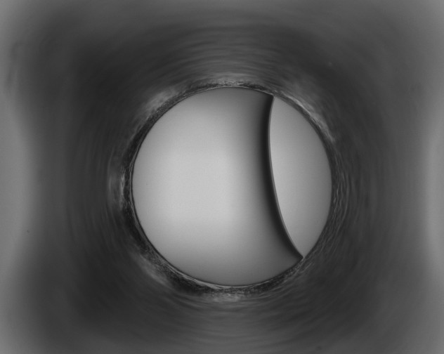 X0000086000110200703230858