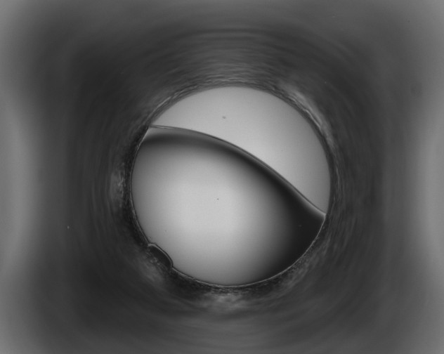 X0000086000113200703230857