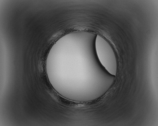 X0000086000114200703230857