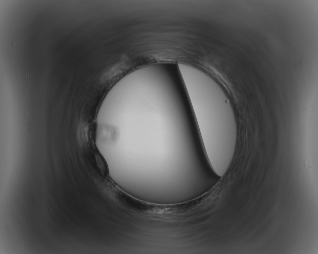 X0000086000117200703230857