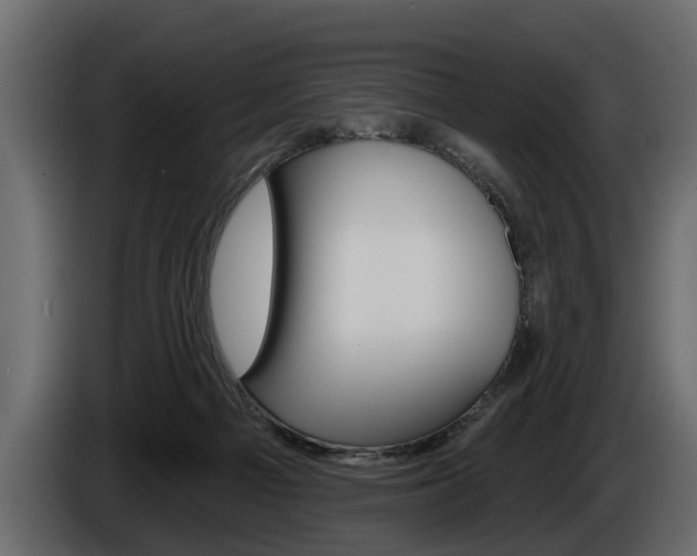 X0000086000121200703230857