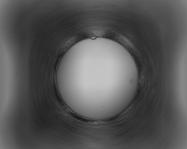 X0000086000122200703230857