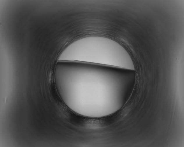 X0000086000123200703230857
