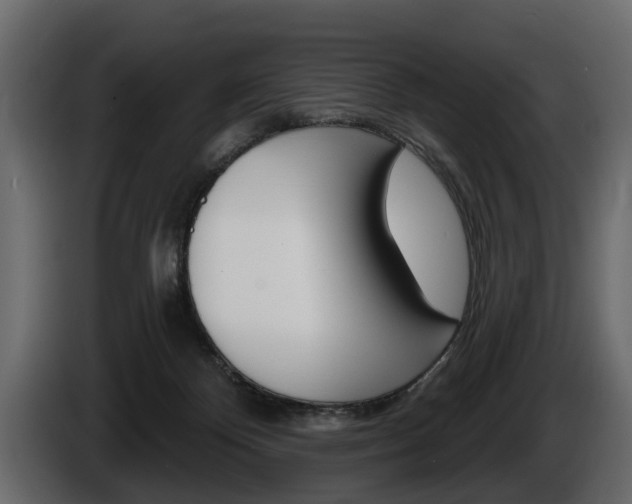 X0000086000124200703230857