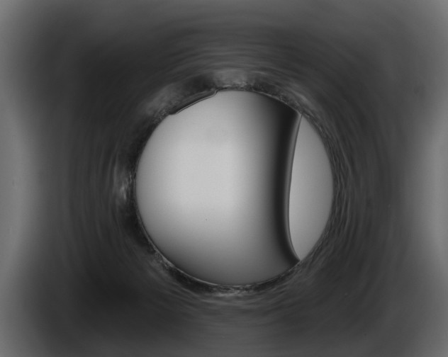 X0000086000125200703230857