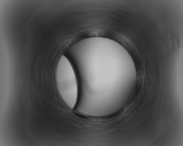 X0000086000127200703230857