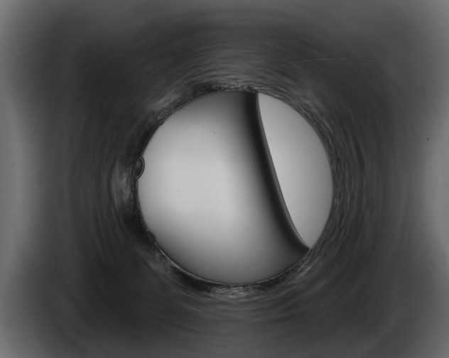 X0000086000131200703230857