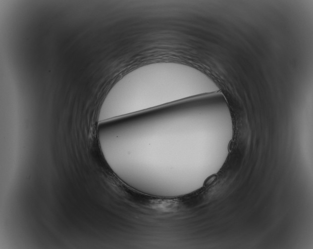 X0000086000135200703230857