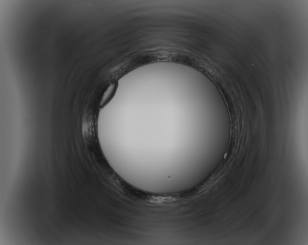 X0000086000137200703230857