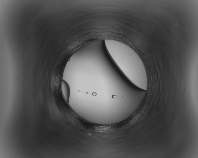 X0000086000139200703230857