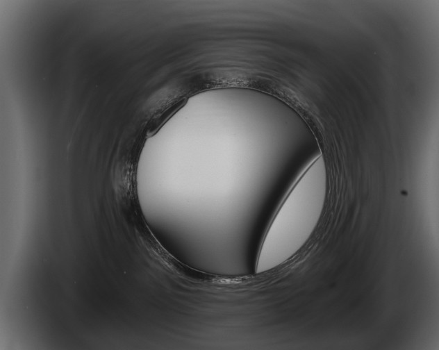 X0000086000141200703230857