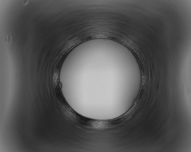 X0000086000142200703230857