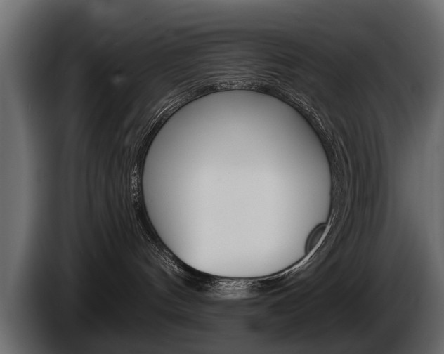 X0000086000144200703230857