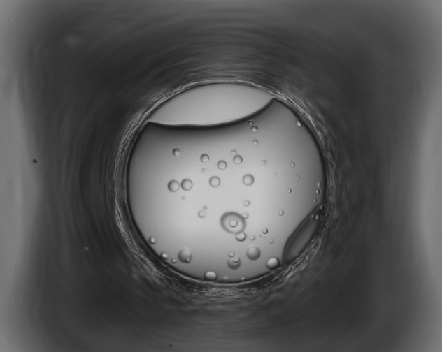 X0000086000145200703230856