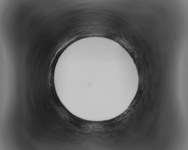 X0000086000146200703230856