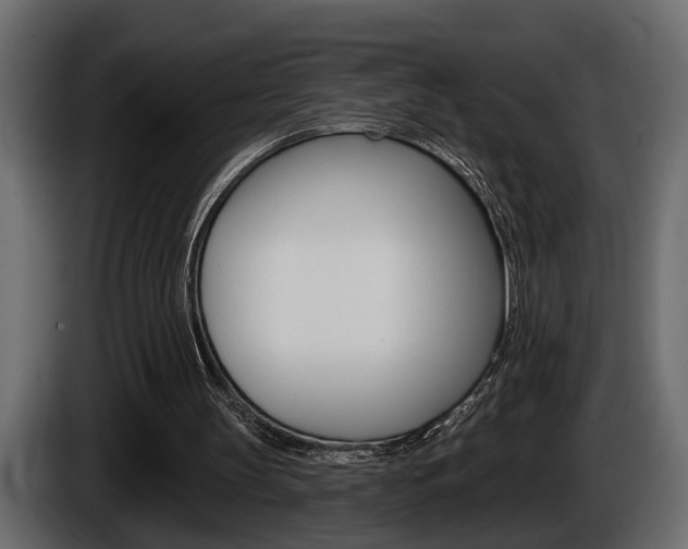 X0000086000147200703230856