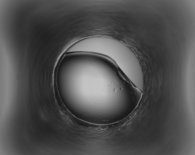 X0000086000148200703230856