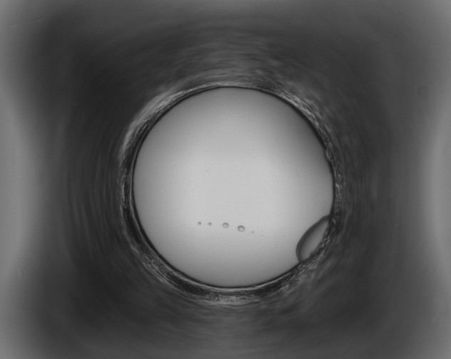 X0000086000149200703230856