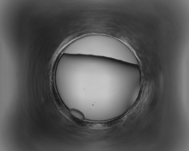 X0000086000151200703230856